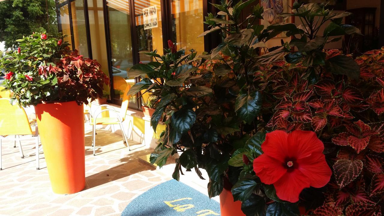 Hotel La Falena Cervia Eksteriør billede